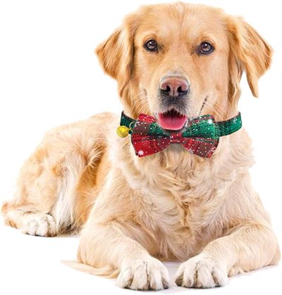 dog collars dog collars