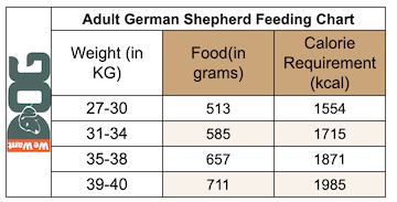 German Shepherd Feeding Chart – How Much to Feed? - WeWantDogs