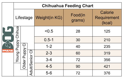 Chihuahua Puppy Feeding Chart