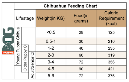 Chihuahua Puppy Feeding Chart Chihuahua Puppy Feeding Chart