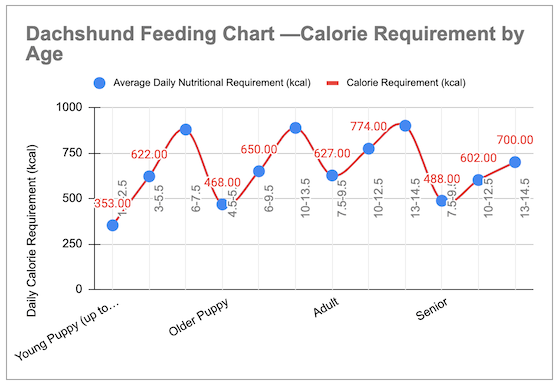 Dachshund Feeding Chart Dachshund Feeding Chart