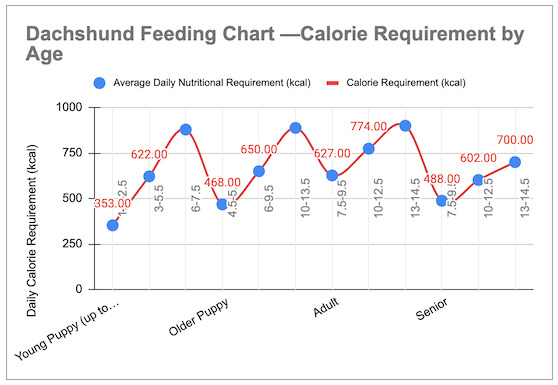 Dachshund Feeding Chart