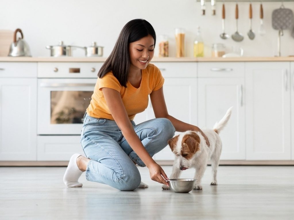 Dog eating Dog eating