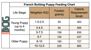 French Bulldog Feeding Guide UK – How Much to Feed? - WeWantDogs