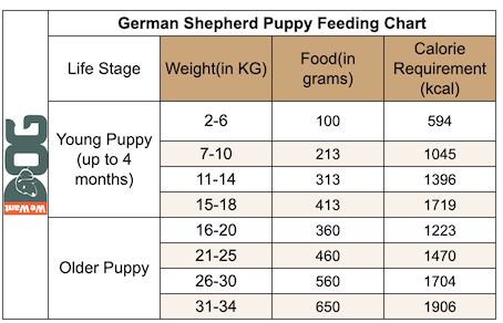 German Shepherd Puppy Feeding Chart