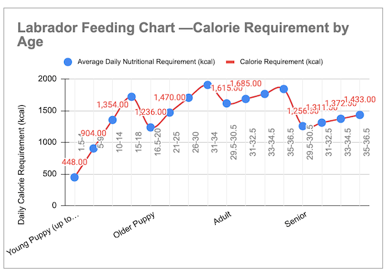 Labrador Feeding Chart
