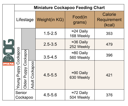 Miniature Cockapoo Feeding Chart Miniature Cockapoo Feeding Chart