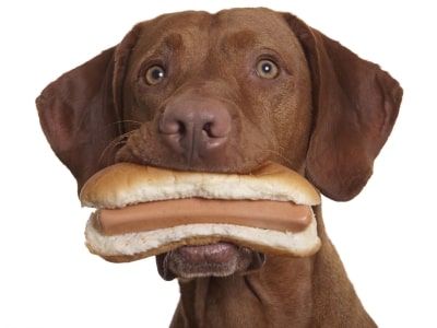 Choking on hot dog Choking on hot dog