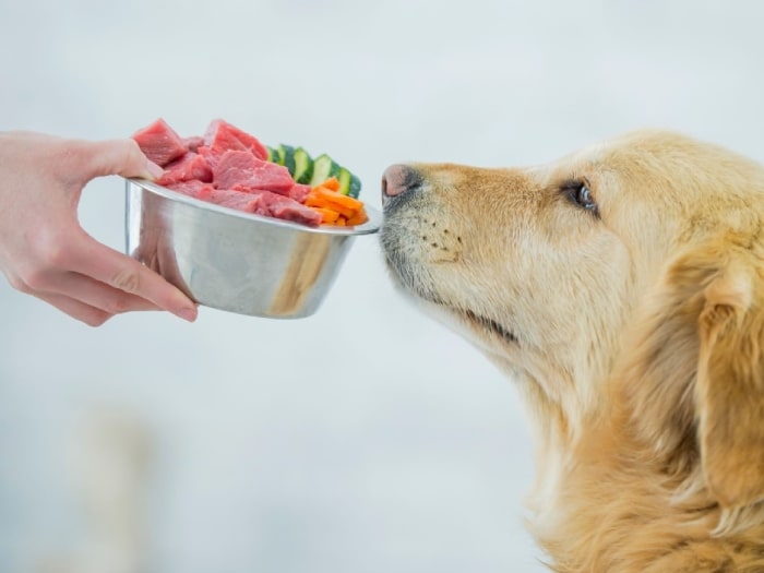 How Much Raw Food Should I Feed My Dog Quench Your Curiosity Now how-much-raw-food-should-i-feed-my-dog-quench-your-curiosity-now