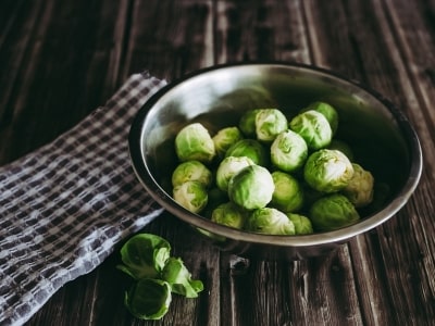 Can puppy eats Brussels Sprouts Can puppy eats Brussels Sprouts