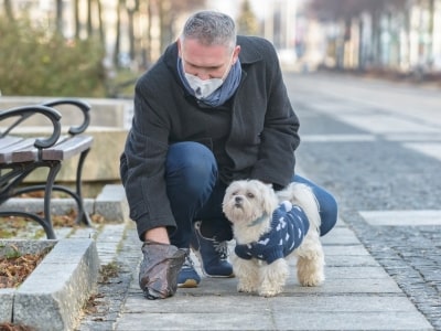 Carry dog poo bag Carry dog poo bag