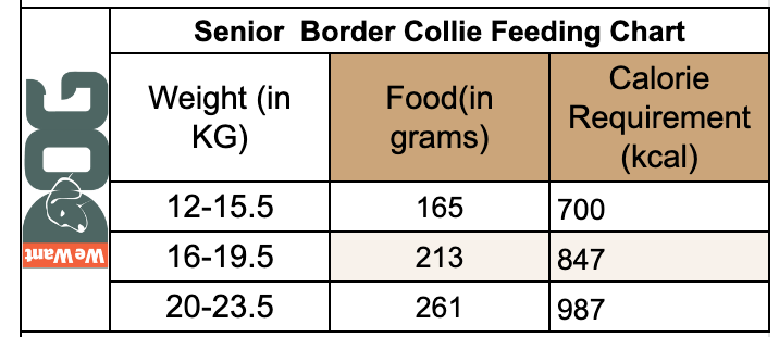 Senior Border Collie Feeding Chart