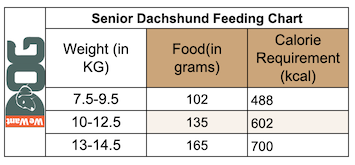 Senior Dachshund Feeding Chart