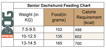 Senior Dachshund Feeding Chart Senior Dachshund Feeding Chart