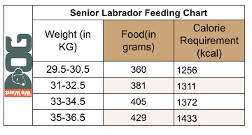 Senior Labrador Feeding Chart