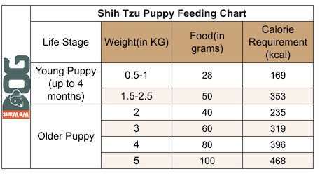 Shih Tzu Puppy Feeding Chart