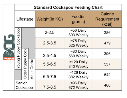 Standard Cockapoo Feeding Chart Standard Cockapoo Feeding Chart