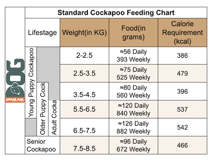 Cockapoo Puppy Growth Chart