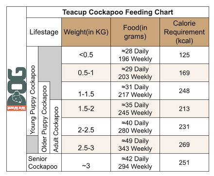 Teacup Cockapoo Feeding Chart Teacup Cockapoo Feeding Chart