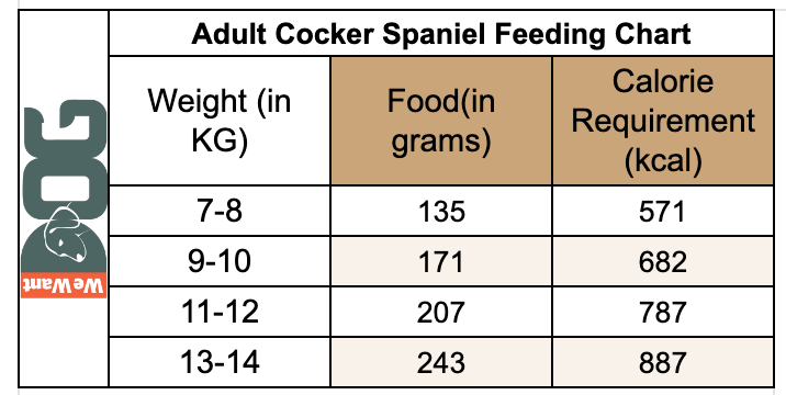 Adult Cocker Spaniel Feeding Chart