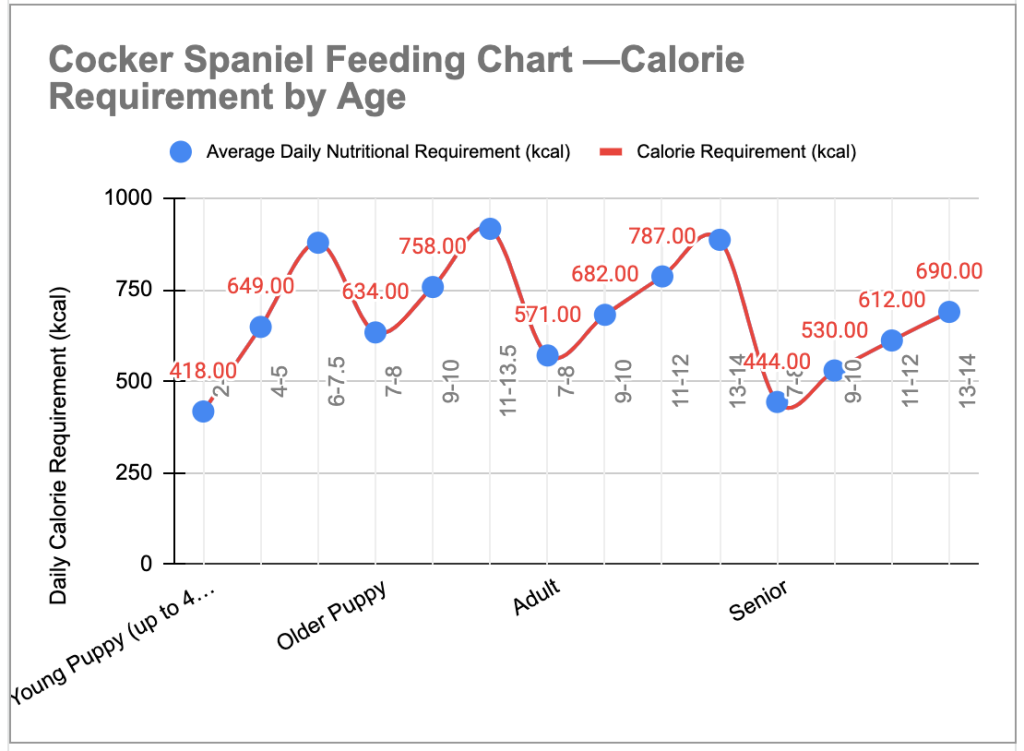 Cocker Spaniels Nutrients Guidelines