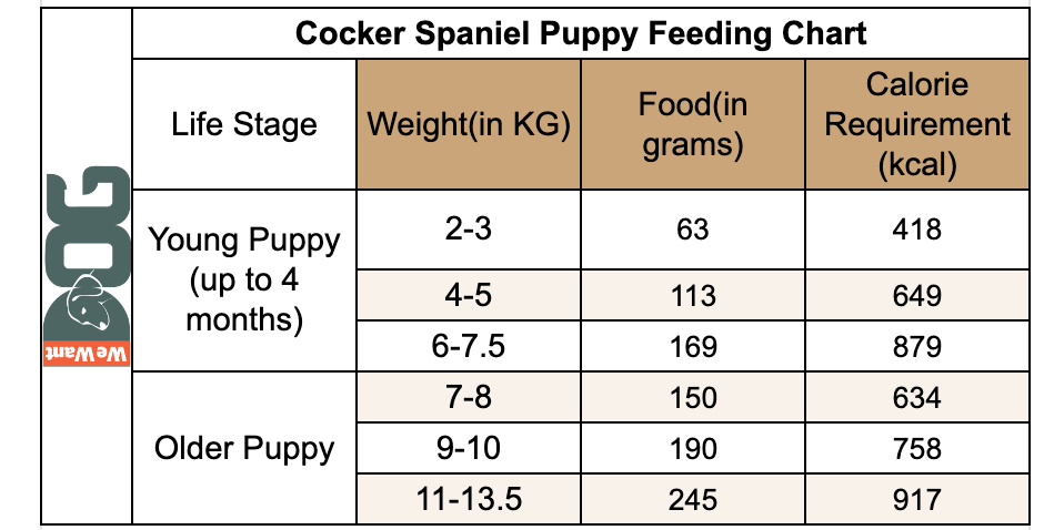 Cocker Spaniel Pupp Feedinh Chart