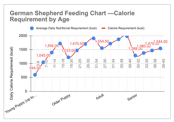 German Shepherd Feeding Chart