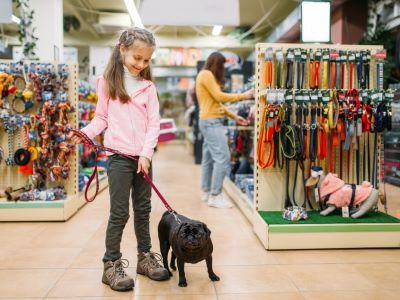 Dog on Leash Dog on Leash