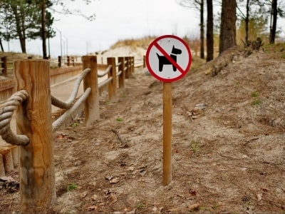 Dog Walking Laws and Licences 