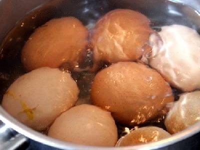 boiled-eggs-dogs