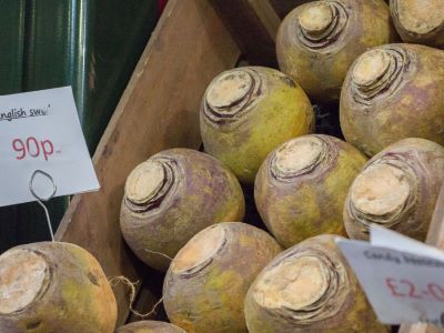 can dogs have swede can dogs have swede