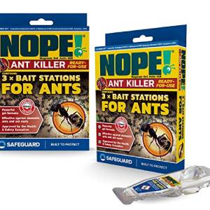 dog-friendly-ant-killer-bait-station-nope