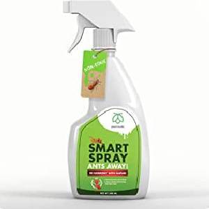 dog-friendly-ant-killer-pestamtic-smart-spray