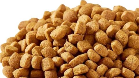 What Is Kibble Dog Food? Decoding the Dry Delight - WeWantDogs - Hypoallergenic Kibble For Dogs