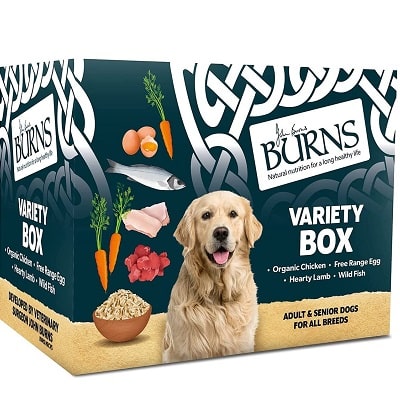 Burns Pet Natural Senior Wet Dog Food