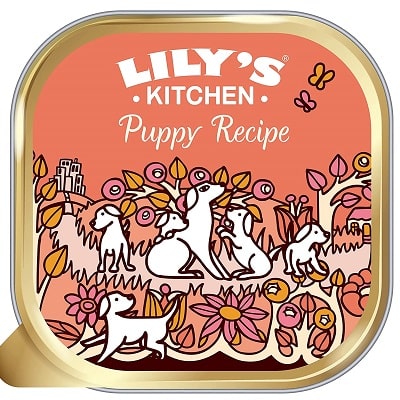 Lily’s Kitchen Chicken Wet Dog Food
