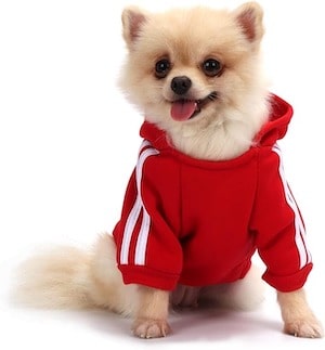 QiCheng&LYS Dog Hoodies Clothes