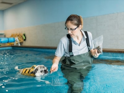 Canine Hydrotherapy Centre Canine Hydrotherapy Centre