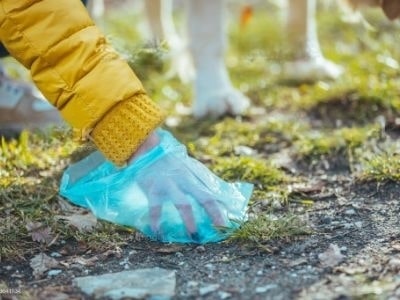 disposal-of-dog-waste disposal-of-dog-waste