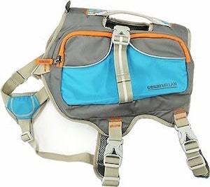 Cesar Millan Dog Backpack