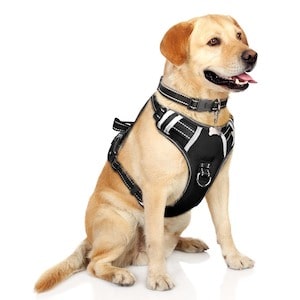 WagglePup No Pull Dog Vest Harness
