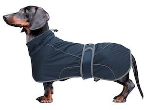babepet Dachshund Winter Coat