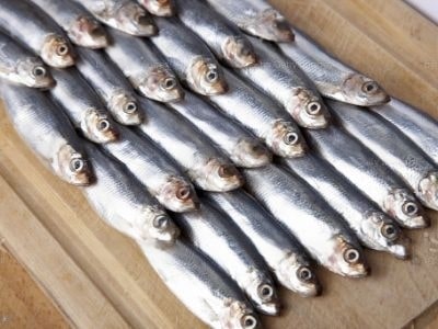 are-dried-sprats-good-for-dogs are-dried-sprats-good-for-dogs