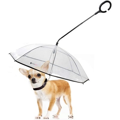 lesypet adjustable  dog umbrella