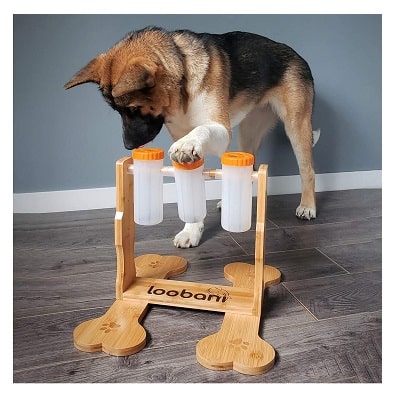 Dog Food Puzzle Feeder Toy - Loobani