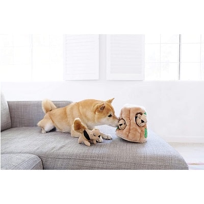 outward hound hide a squirrel plush dog toy puzzle