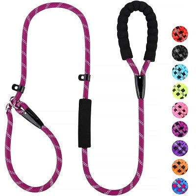 plutus pet dog slip lead