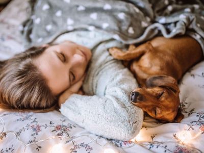 your dog wants your attention your dog wants your attention