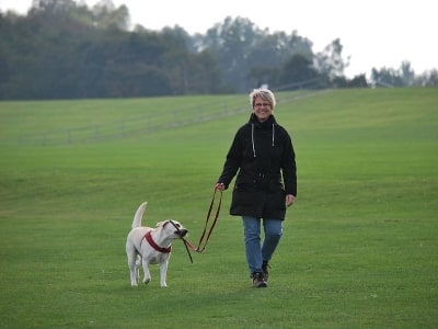 How to Start a Dog Walking Business?