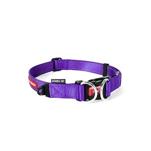 EZYDOG Double Up Dog Collar